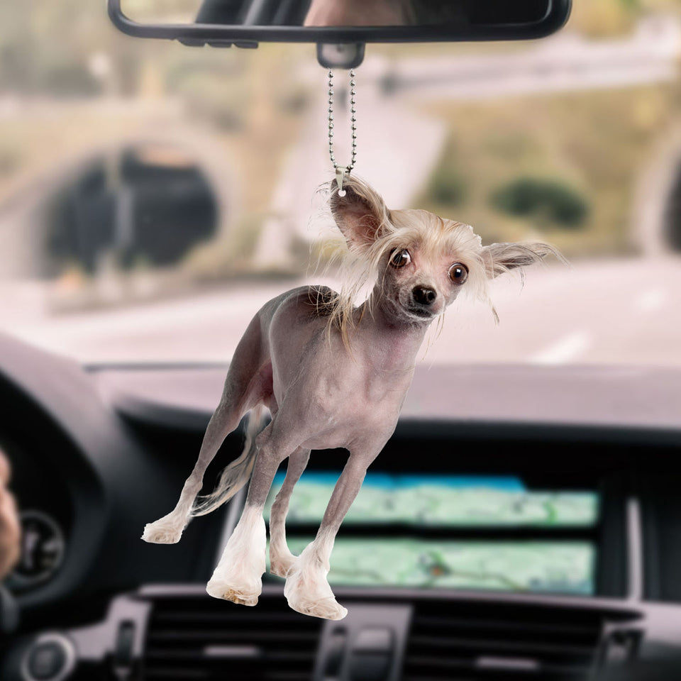 chinese-crested-ornament-decorate-car