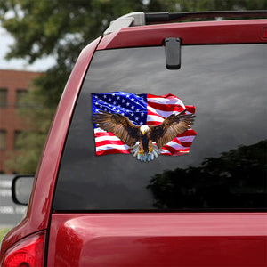 [th0699-snf-tpa]-eagle-crack-car-sticker-birds-lover