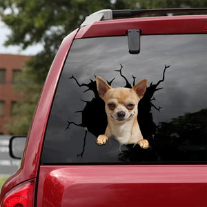[sk0713-snf-tnt]-chihuahua-crack-sticker-dogs-lover