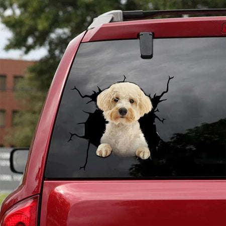 [da0140-snf-tnt]-schnoodle-crack-car-sticker-dogs-lover