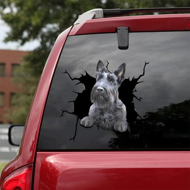 [da0137-snf-tnt]-scottish-terrier-dogs-crack-car-sticker