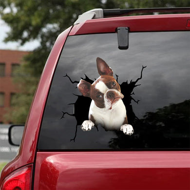 [da0322-snf-tnt]-boston-terrier-crack-car-sticker-dogs-lover