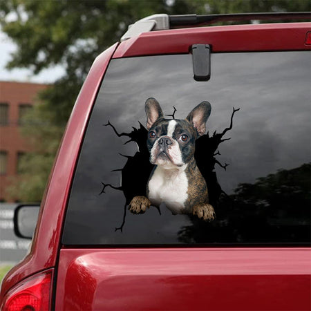 [da0321-snf-tnt]-boston-terrier-crack-car-sticker-dogs-lover
