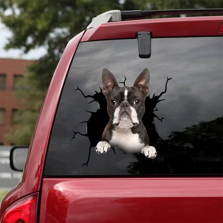 [da0324-snf-tnt]-boston-terrier-crack-car-sticker-dogs-lover