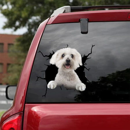 [da1049-snf-tnt]-bichon-crack-car-sticker-dogs-lover