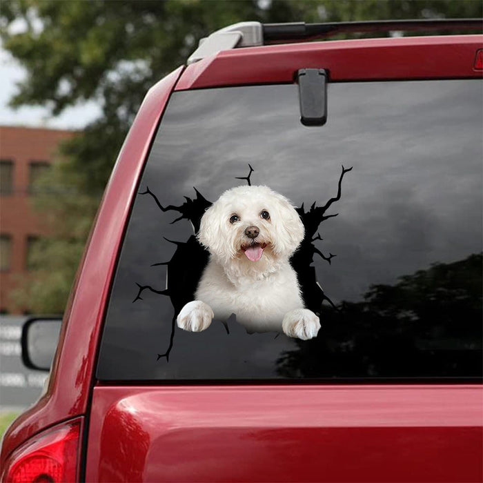 [da1050-snf-tnt]-bichon-crack-car-sticker-dogs-lover