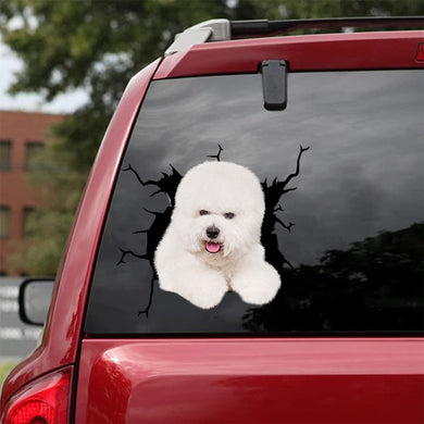 [da1051-snf-tnt]-bichon-crack-car-sticker-dogs-lover