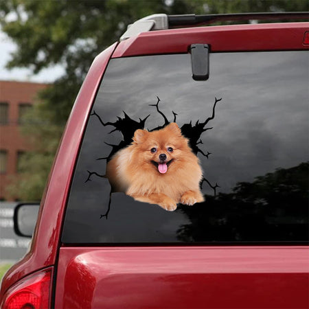 [da1053-snf-tnt]-pomeranian-crack-car-sticker-dogs-lover