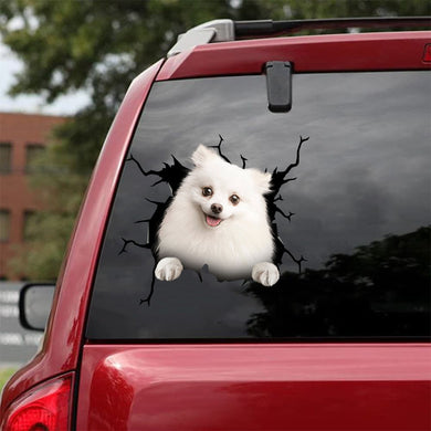 [da1055-snf-tnt]-pomeranian-crack-car-sticker-dogs-lover
