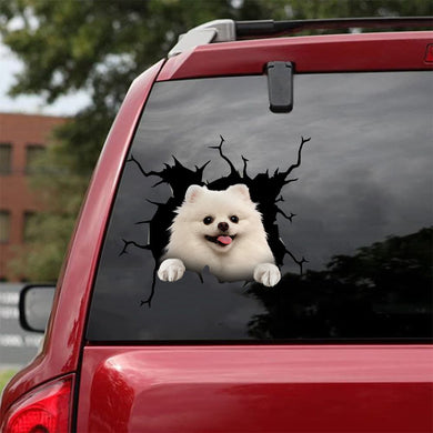 [da1056-snf-tnt]-pomeranian-crack-car-sticker-dogs-lover