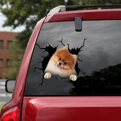 [da1057-snf-tnt]-pomeranian-crack-car-sticker-dogs-lover