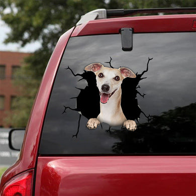 [bv0170-snf-tnt]-whippet-crack-car-sticker-dogs-lover