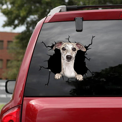 [bv0171-snf-tnt]-whippet-crack-car-sticker-dogs-lover