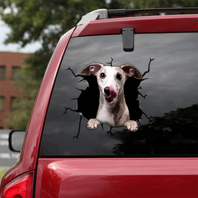 [bv0172-snf-tnt]-whippet-crack-car-sticker-dogs-lover