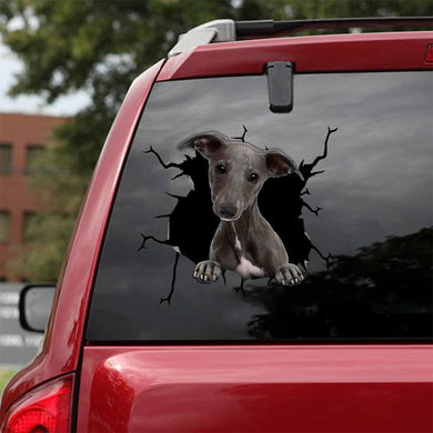 [bv0174.-snf-tnt]-whippet-crack-car-sticker-dogs-lover