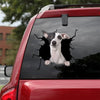 [bv0176-snf-tnt]-whippet-crack-car-sticker-dogs-lover