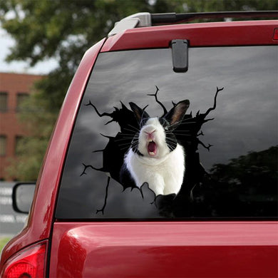 [sk0709-snf-lad]-rabbit-crack-sticker-animals-lover