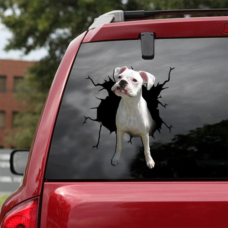 [ld0437-snf-lad]-boxer-crack-car-sticker