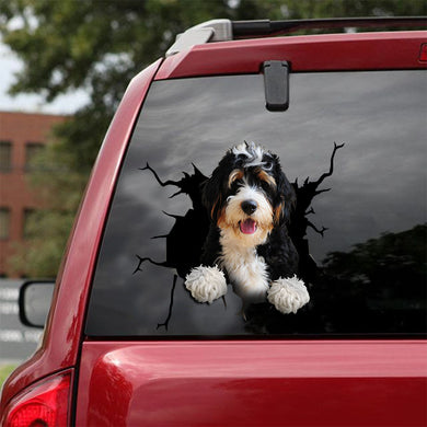 [ld0424-snf-lad]-bernedoodle-crack-car-sticker-dogs-lover