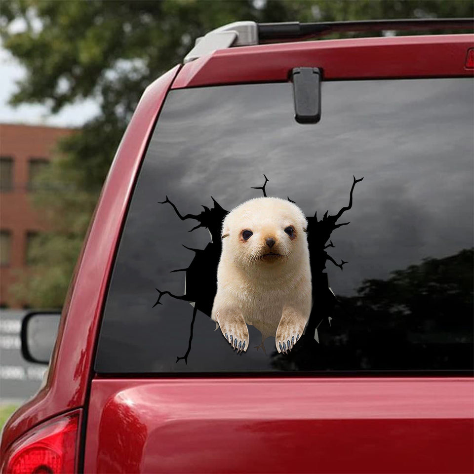 [sk0854-snf-tpa]-baby-white-seal-sticker-animals-lover