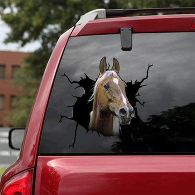 [da0157-snf-tnt]-american-saddlebred-crack-car-sticker