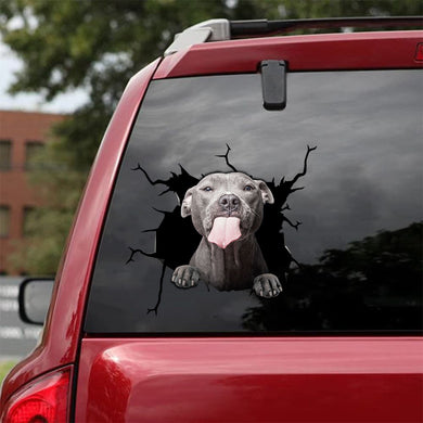 [da0146-snf-tnt]-pitbull-crack-car-sticker-dogs-lover