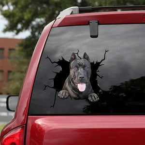 [da0145-snf-tnt]-pitbull-crack-car-sticker-dogs-lover