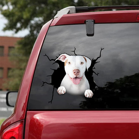 [da0148-snf-tnt]-pitbull-crack-car-sticker-dogs-lover