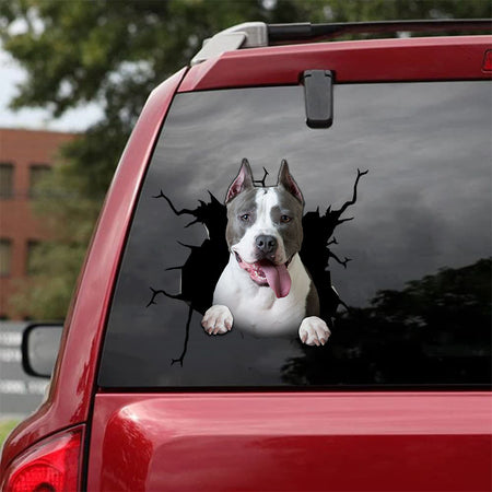 [da0149-snf-tnt]-pitbull-crack-car-sticker-dogs-lover