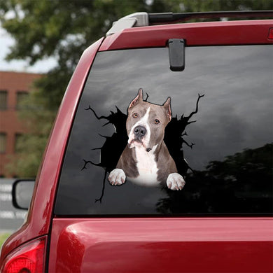 [da0150-snf-tnt]-pitbull-crack-car-sticker-dogs-lover