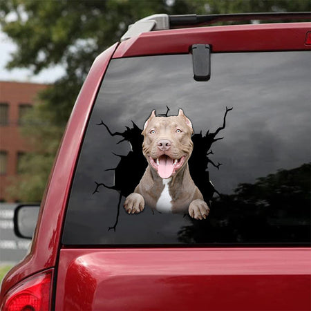 [da0151-snf-tnt]-pitbull-crack-car-sticker-dogs-lover