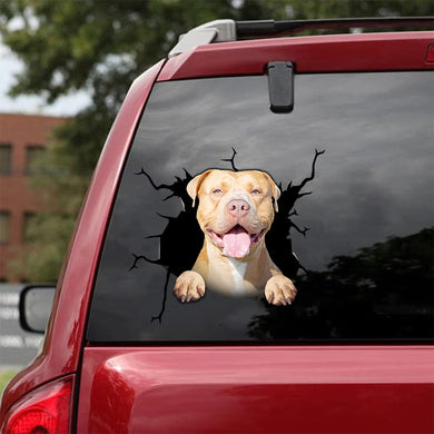 [da0152-snf-tnt]-pitbull-crack-car-sticker-dogs-lover