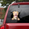 [da0152-snf-tnt]-pitbull-crack-car-sticker-dogs-lover