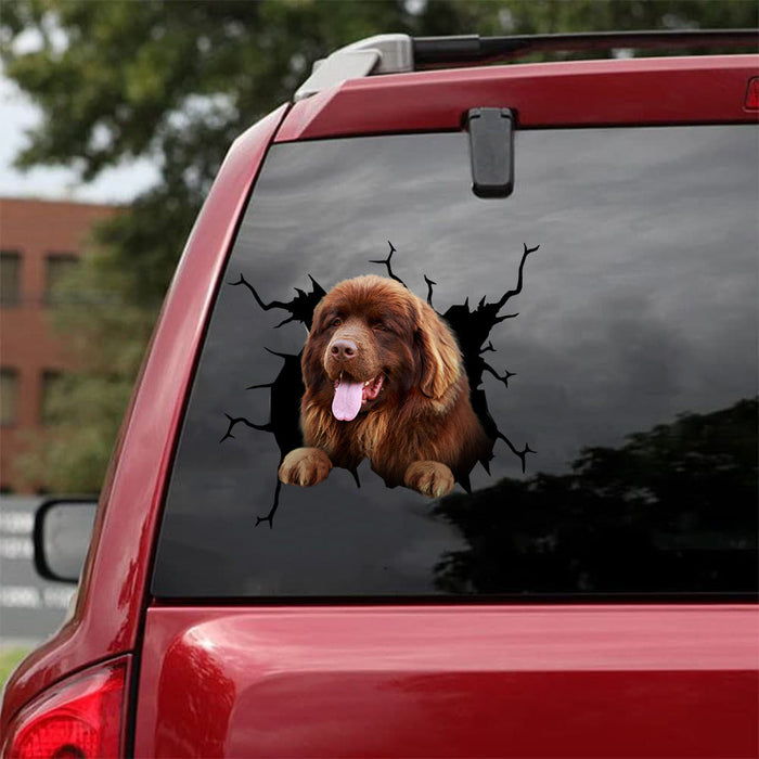 [da1085-snf-tnt]-newfoundland-crack-car-sticker-dogs-lover