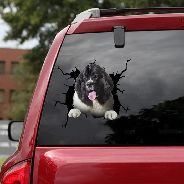 [da1087-snf-tnt]-newfoundland-crack-car-sticker-dogs-lover