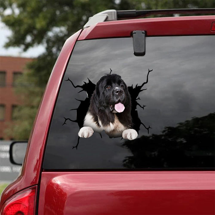 [da1088-snf-tnt]-newfoundland-crack-car-sticker-dogs-lover