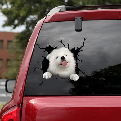 [da1061-snf-tnt]-samoyed-crack-car-sticker-dogs-lover