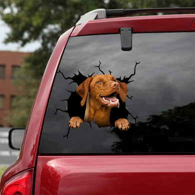 [da1064-snf-tnt]-vizsla-crack-car-sticker-dogs-lover