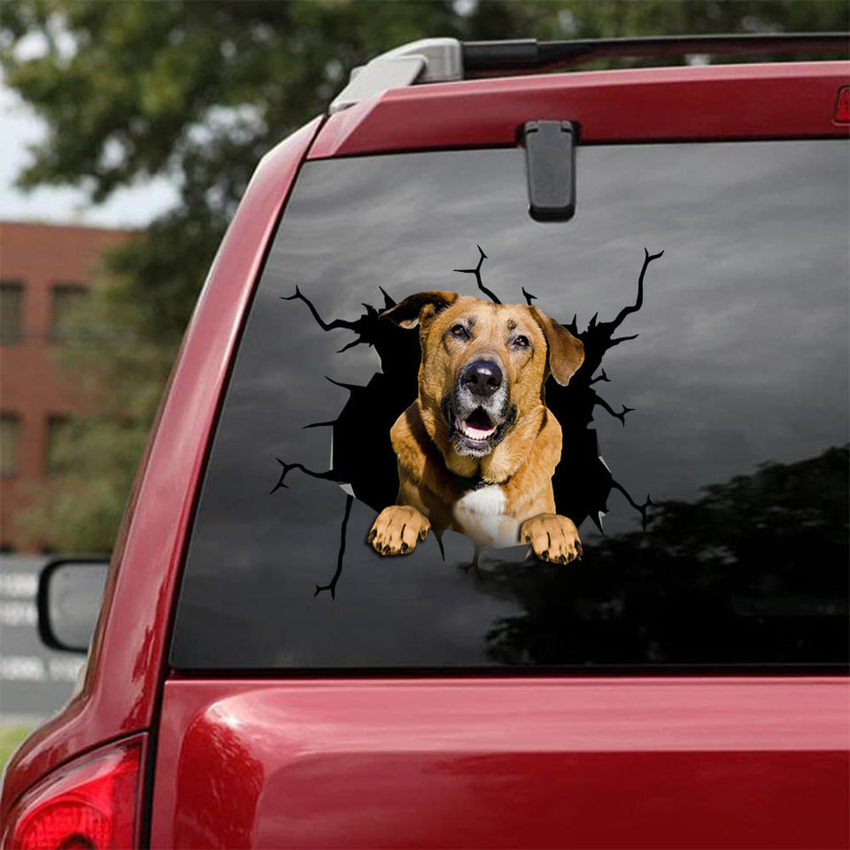 [bv0186-snf-tpa]-bloodhound-crack-car-sticker-dogs-lover