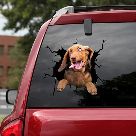 [bv0187-snf-tpa]-bloodhound-crack-car-sticker-dogs-lover