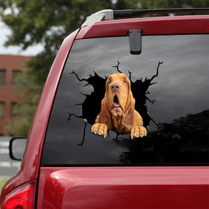 [bv0188-snf-tpa]-bloodhound-crack-car-sticker-dogs-lover
