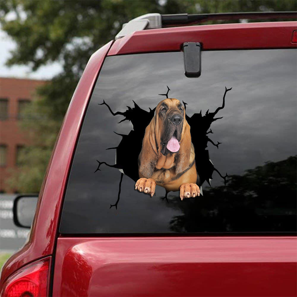 [bv0189-snf-tpa]-bloodhound-crack-car-sticker-dogs-lover