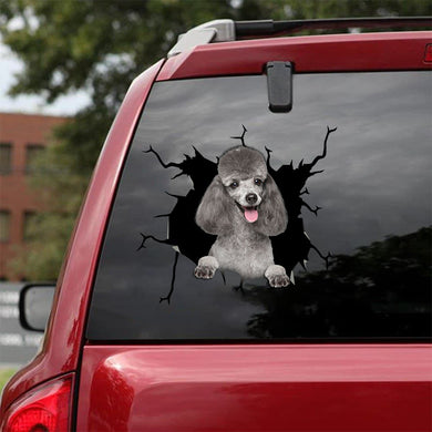 [bv1077-snf-tpa]-poodle-crack-car-sticker-dogs-lover