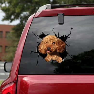 [bv1078-snf-tpa]-poodle-crack-car-sticker-dogs-lover