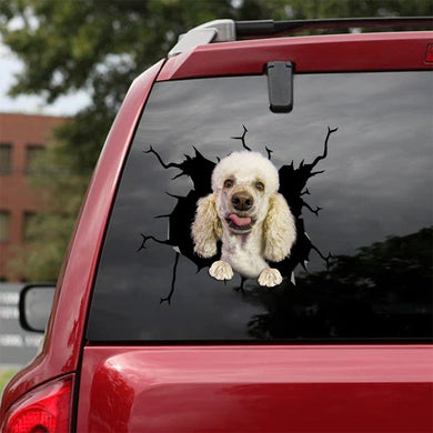 [bv1079-snf-tpa]-poodle-crack-car-sticker-dogs-lover
