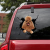 [bv1080-snf-tpa]-poodle-crack-car-sticker-dogs-lover