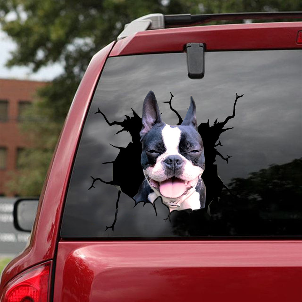 [sk0776-snf-lad]-boston-terrier-crack-car-sticker-dogs-lover