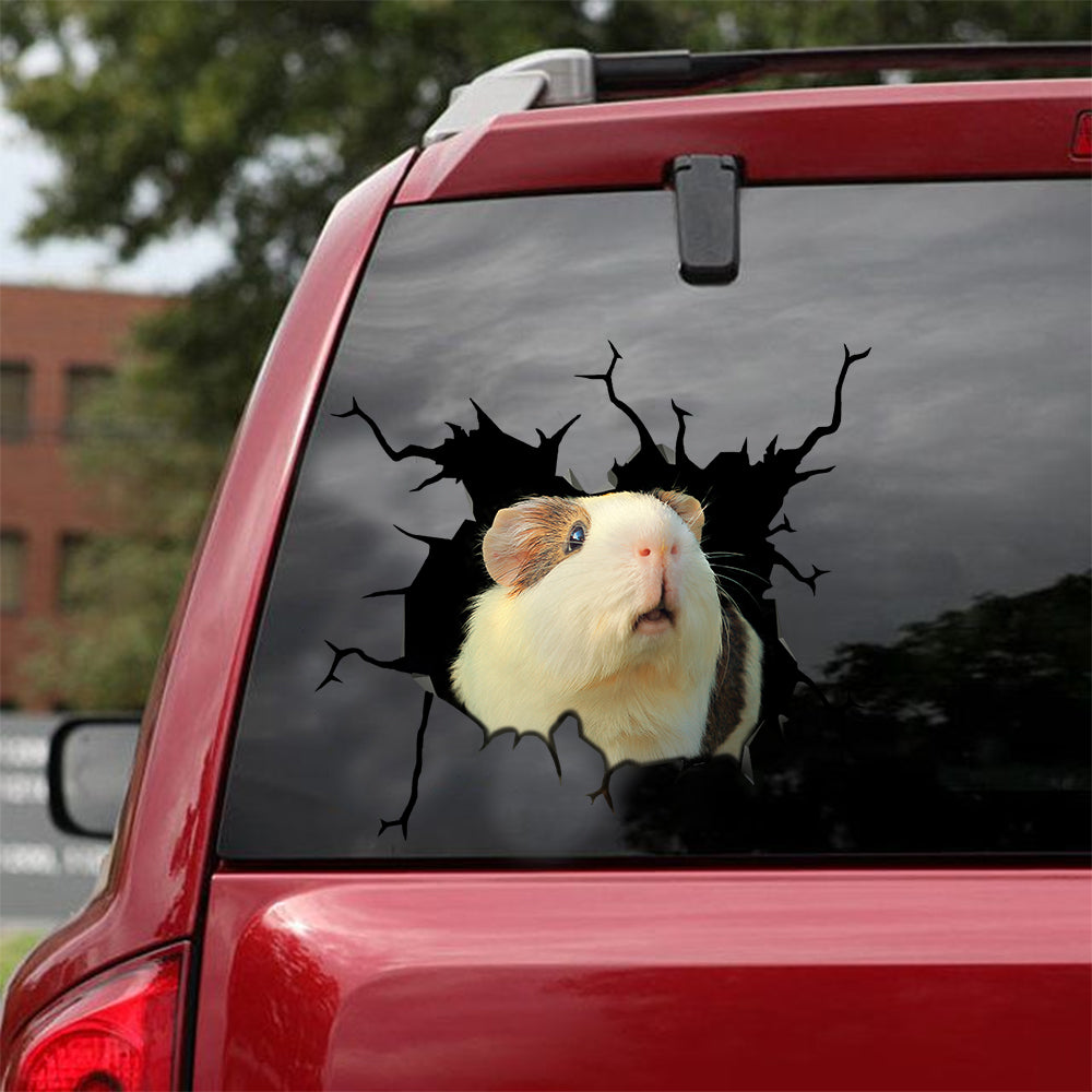[sk0733-snf-lad]-guinea-pig-crack-car-sticker-animals-lover