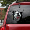 [sk0759-snf-lad]-husky-crack-car-sticker-dogs-lover