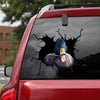 [sk1701-snf-tnt]-duck-crack-car-sticker-poultry-lover